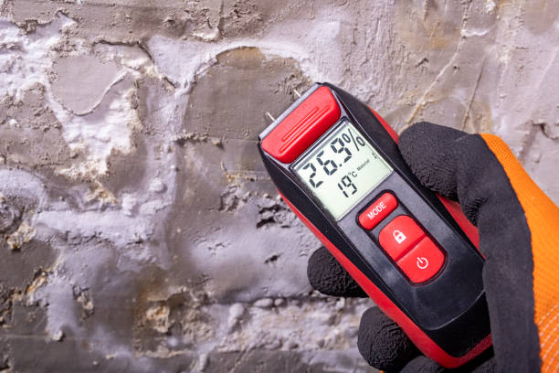 Best Mold Removal Company Near Me  in Hamilton, OH