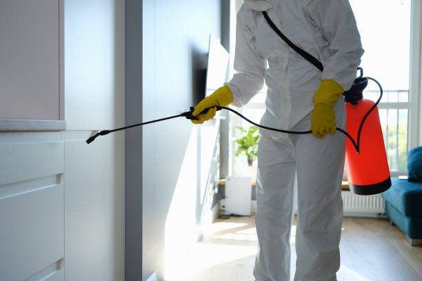 Best Residential Mold Removal  in Hamilton, OH