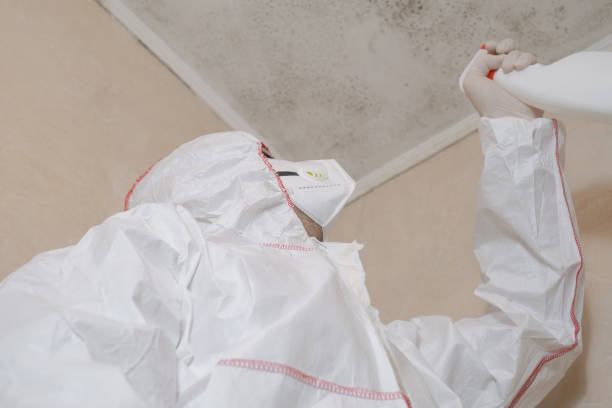 Best Crawl Space Mold Removal  in Hamilton, OH